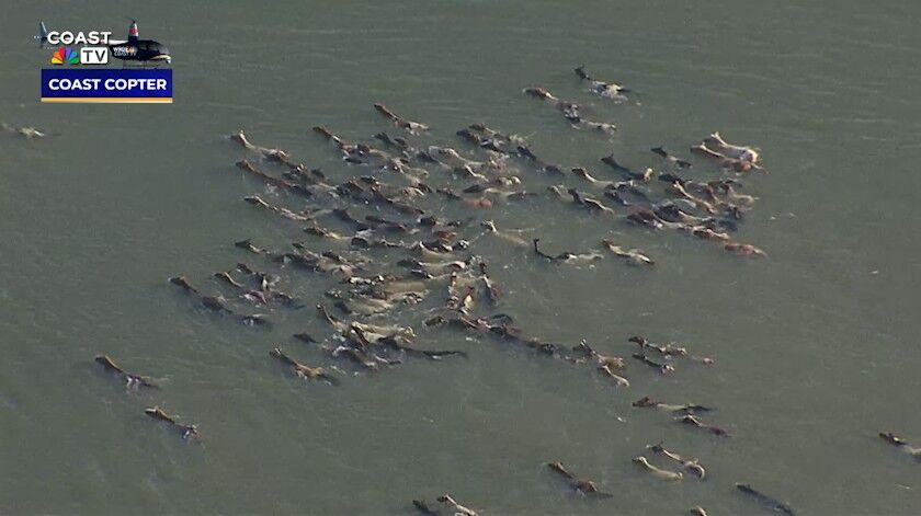 Helicopter view of shot